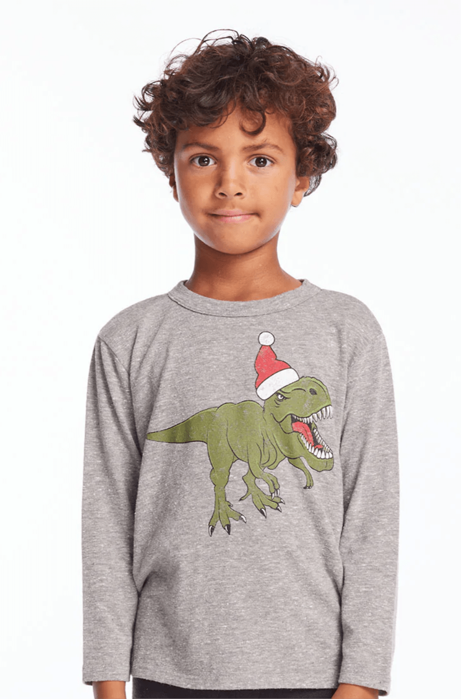 Dinosaur Santa boys long sleeve - The Closet